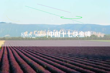 江西中国十七块金牌
