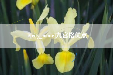 江西九宫格优点