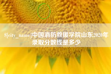 江西中国消防救援学院山东2020年录取分数线是多少