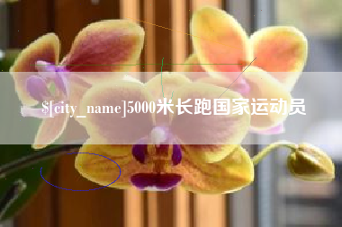 江西5000米长跑国家运动员