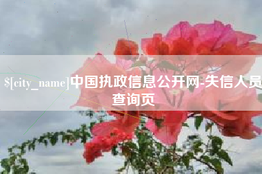江西中国执政信息公开网-失信人员查询页