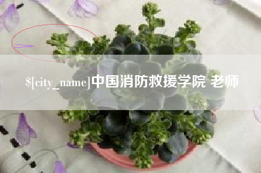 江西中国消防救援学院 老师