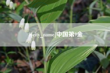 江西中国第9金