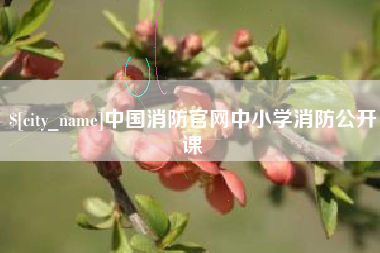 江西中国消防官网中小学消防公开课
