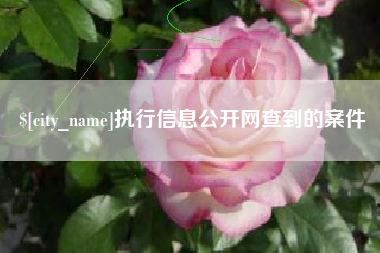 江西执行信息公开网查到的案件