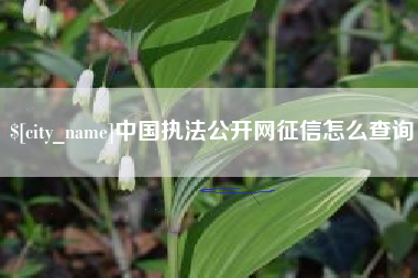 江西中国执法公开网征信怎么查询