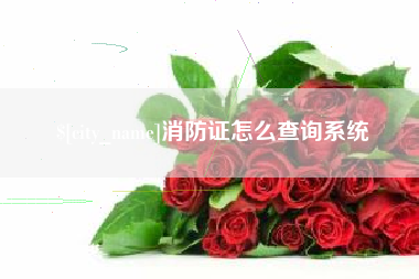 江西消防证怎么查询系统