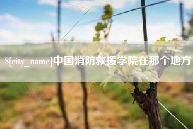 江西中国消防救援学院在那个地方