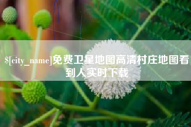 江西免费卫星地图高清村庄地图看到人实时下载