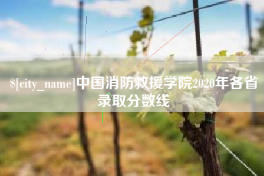 江西中国消防救援学院2020年各省录取分数线