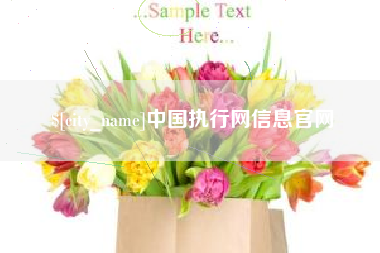 江西中国执行网信息官网