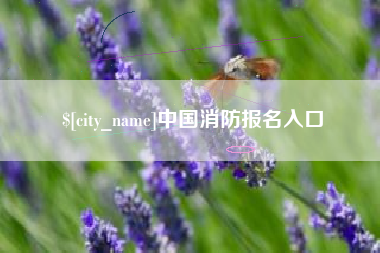 江西中国消防报名入口