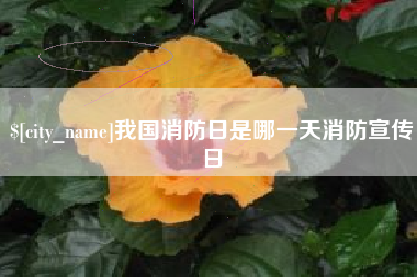 江西我国消防日是哪一天消防宣传日