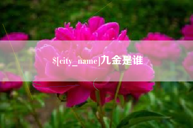 江西九金是谁