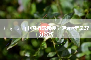 江西中国消防救援学院2019年录取分数线