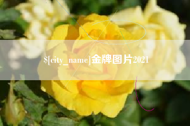 江西金牌图片2021