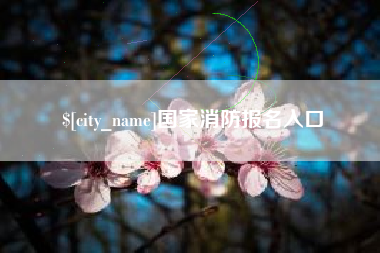 江西国家消防报名入口