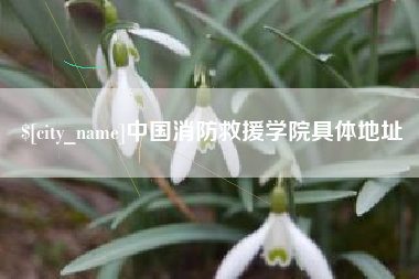 江西中国消防救援学院具体地址