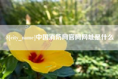 江西中国消防网官网网址是什么