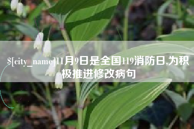 江西11月9日是全国119消防日,为积极推进修改病句