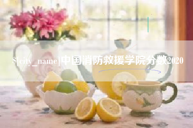 江西中国消防救援学院分数2020