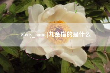 江西九金指的是什么