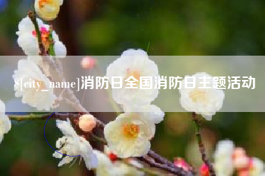 江西消防日全国消防日主题活动