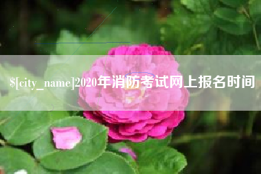 江西2020年消防考试网上报名时间