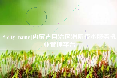 江西内蒙古自治区消防技术服务执业管理平台