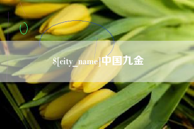 江西中国九金