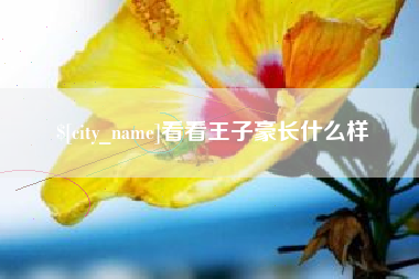 江西看看王子豪长什么样