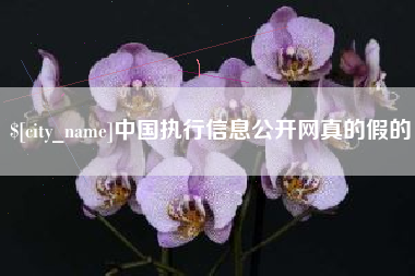 江西中国执行信息公开网真的假的
