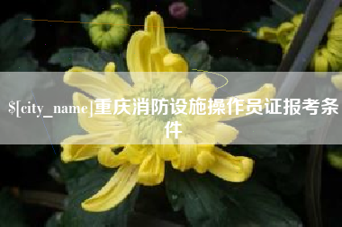 江西重庆消防设施操作员证报考条件
