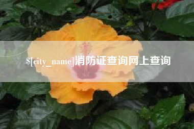 江西消防证查询网上查询