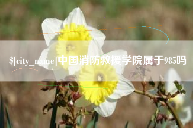 江西中国消防救援学院属于985吗