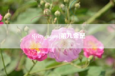 江西第九金是