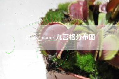 江西九宫格分布图