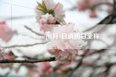 江西11月9日消防日全称