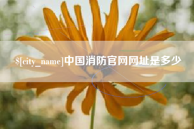 江西中国消防官网网址是多少
