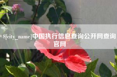 江西中国执行信息查询公开网查询官网