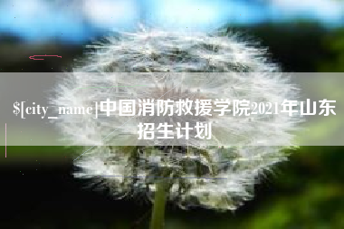 江西中国消防救援学院2021年山东招生计划