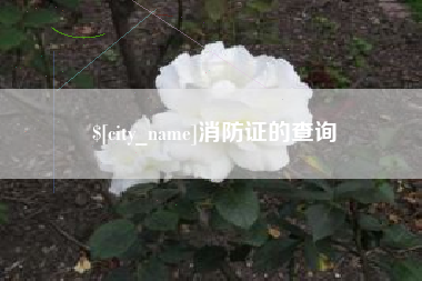 江西消防证的查询