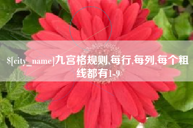 江西九宫格规则,每行,每列,每个粗线都有1-9