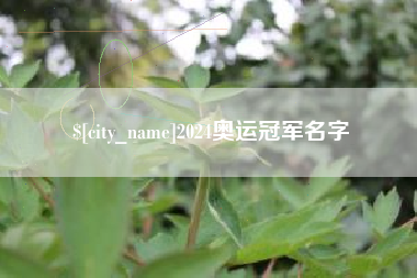 江西2024奥运冠军名字