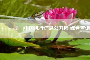 江西中国执行信息公开网 综合查询