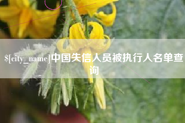江西中国失信人员被执行人名单查询