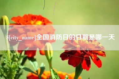 江西全国消防日的日期是哪一天