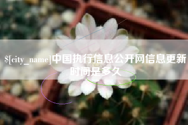 江西中国执行信息公开网信息更新时间是多久