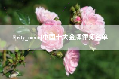 江西中国十大金牌律师名单