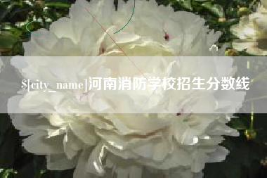 江西河南消防学校招生分数线